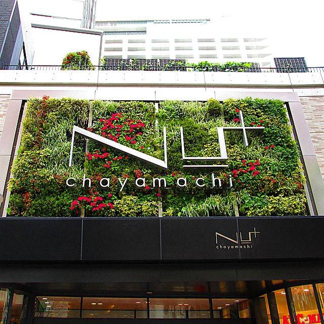 @wind64y on Instagram: “***ファッションビルの入口*本物の植物*#NU茶屋町プラス#茶屋町#大阪#chayamachi#Osaka#Japan*” (51416)
