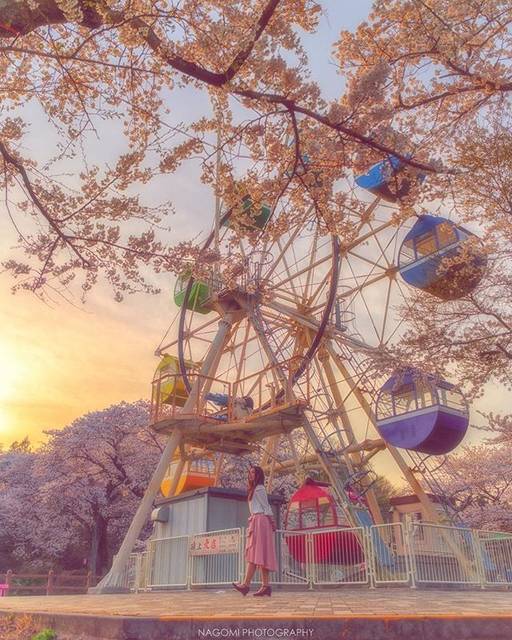 KAZU - 和光 on Instagram: “夕焼け空に染まる千手山公園の桜と観覧車をパチリ📷✨ 🌐Location : Tochigi, Japan 📷Camera : Nikon D750 🔘Lens : NIKKOR 24-70mm f/2.8E ED VR 💁‍♀️Model : @mi_yu_ki_1013…” (58029)