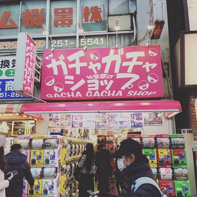 momora on Instagram: “来たよー♫#ガチャガチャショップ#レア？いっぱい#スクイーズ” (59064)