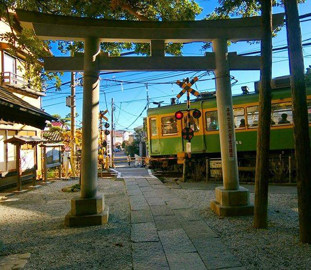 御朱印キャプターがく on Instagram: “#鎌倉御霊神社 境内側からの江ノ電通過時。 良いところなんですよね〜😊いつもイソイソと次に行ってしまうんですが、先日はきちんと境内社も全部ご挨拶してきました。 逆にいつも行っている、この参道を海に向かって歩くと、#力餅屋 という和菓子屋があるんですが、寄れなかった…😓…” (59414)