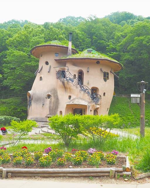 さなえちゃん on Instagram: “..きのこの家🏡..#あけぼのこどもの森公園#ムーミン谷 #ムーミン #Moomintroll#Muumipeikko #Mumintrollet#散歩 #自然好きな人と繋がりたい” (59630)
