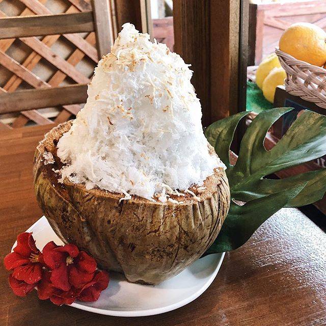 @misea_91 on Instagram: “🥥．始まりました🎐．今年初の山口さんは大好きなこれで開始です。 ．．．#ココナッツ#かき氷 #山口果物” (60444)
