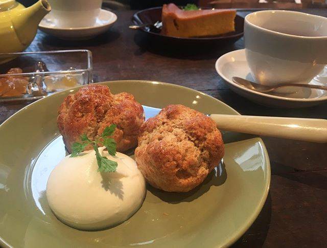 fuka on Instagram: “.チーズケーキかぼちゃや〜〜 って悩んだけど、なんかスコーン気分やったからスコーンいただきました。紅茶は何か忘れたなー。かぼちゃチーズケーキも一口もらい。カフェでゆったりお喋りすんのすきやーなー。...#tearoommahisa #岡本 #スコーン” (61992)