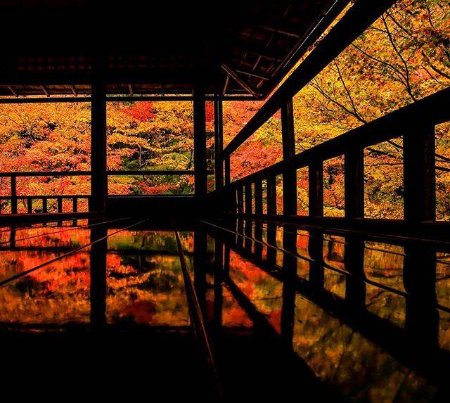 Daiki Uranaka on Instagram: “【待ち遠しい紅葉のある景色】 Location:kyoto Photo by:eos5dmk4+ef1635f2.8Ⅲ  だいぶ気温が落ちてきましたね。 秋の風に心踊る今日この頃。 今年もたくさんの紅葉に出会えることを楽しみにしてます。…” (66431)