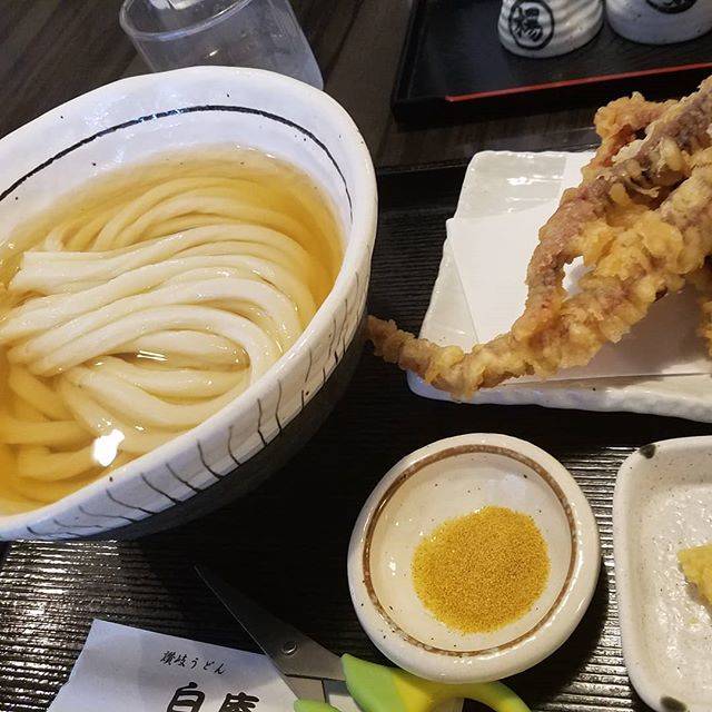 Yoshiko Tanaka on Instagram: “お腹すいた。こんな時間にお腹すいた。ひやひや食べたいお腹すいた。#みんな太ってしまえ#夜食テロ #自爆テロ #讃岐うどん白庵 #おなかすいた” (66999)