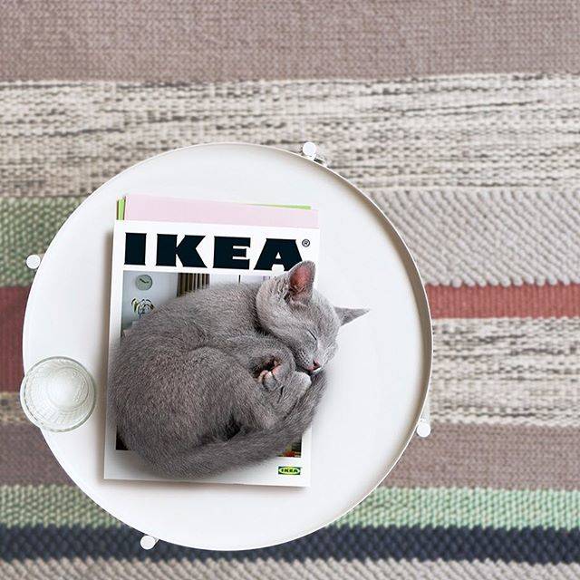 IKEA JAPAN on Instagram: “もうすぐ『IKEAカタログ 2019』がやってくる！ ﻿ ﻿ 『IKEAカタログ 2019』では、暮らし方の多様性にスポットライトをあて、それぞれ異なる生活環境やストーリーを持った「家」を紹介しています。﻿ ﻿…” (69573)