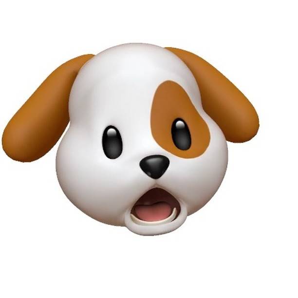 @motomix on Instagram: “今日のwho's nextでイベント中に熱唱する犬🐶#whosnext #石川町クリブ #横浜 #DJ #neyo #エハラアニ文字 #アニ文字” (69965)