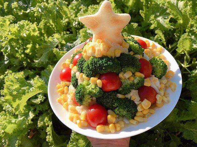SAya on Instagram: “Merry Christmas🎅🎄🎁 Christmas Eveって事でChristmas treeサラダを昨日作ったので載せてみました。 #merrychristmas  #merrychristmaseve #メリクリ #christmas #christmastree…” (70440)
