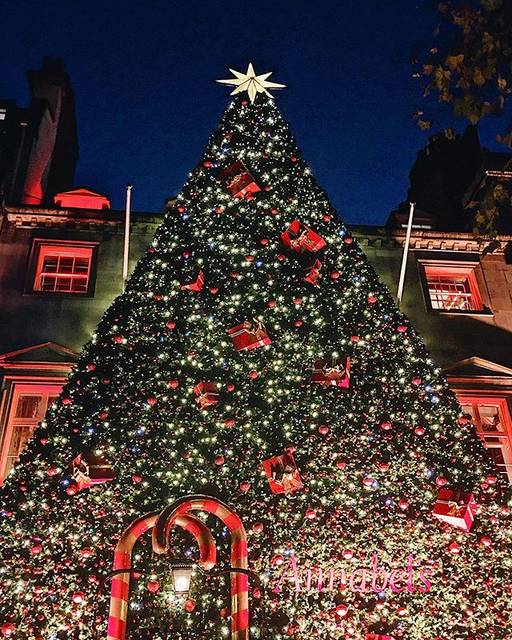 KARIN (かりん) on Instagram: “Annabel’s giant Xmas tree decoration 🎄めっちゃキラキラしてた🤩#冬景色 #一歩先を歩く” (70971)