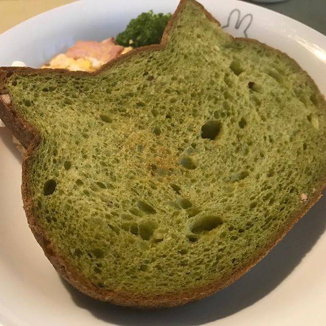 Morbone（モルボン） on Instagram: “ネコのミミがちょこんと立った食パン。ほんのり抹茶の香りと甘栗の食感。#ブルー・ジン #梅田 #新阪急ホテル  #いろねこ食パン #かわいい  #ねこ #ネコ  #食パン #カフェ #大阪 #抹茶 #甘栗 #朝食 #いただきます ！” (74503)