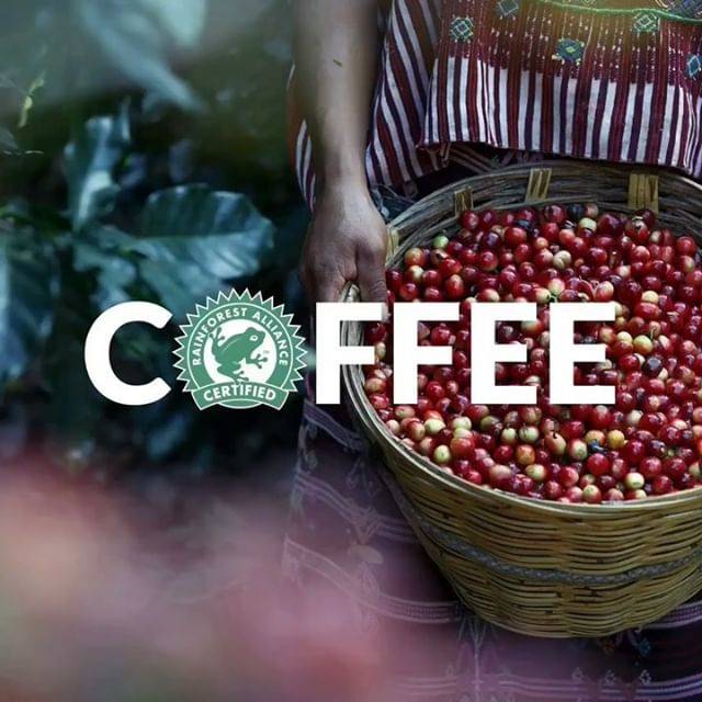 Rainforest Alliance on Instagram: “‼ Comment to enter GIVEAWAY DAY 2: Did you know that conventional ways of processing coffee beans can contaminate waterways? That's bad…” (77793)