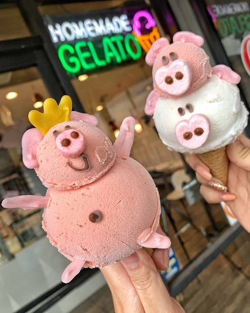 Eiswelt Gelato USA on Instagram: “Happy New Year! 🐷🧧 It’s the year of the pig so we are celebrating with these pig gelato character! 😍 #eisweltgelato” (78097)