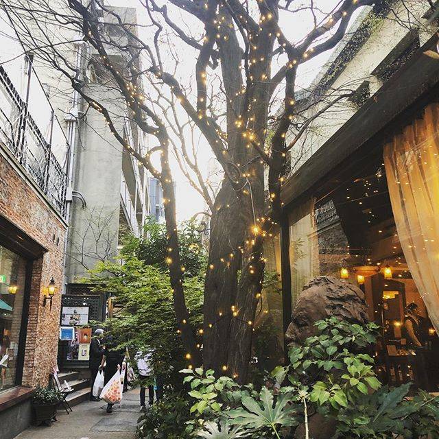 @kyocorin on Instagram: “#ブラームスの小径 #原宿 #harajuku #tokyo #japan こんな道があるの知らなかった！” (79610)