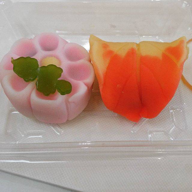 Sigekazu Kariya on Instagram: “初めての和菓子つくりなんとなくうまく出来たかなあ～面白かったー#和菓子づくり #湯河原#家族旅行” (81300)