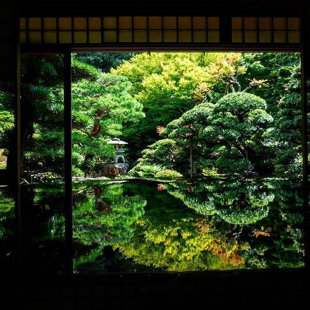 勇 二 🇯🇵 on Instagram: “皆さんこんにちは😄✨ フォロワーさんの素晴らしいお写真を拝見して、自分でも行きたくてうずうずしていた世界遺産、京都御室仁和寺の近くの『旧邸御室』さんへとお邪魔して来ました。ピカピカの座卓に写り込んだお庭に、しばし暑さを忘れて夢中で写真を撮らせていただきました。…” (81360)