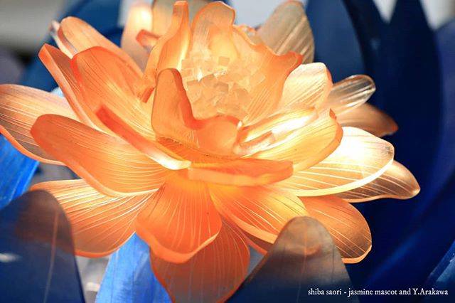 しばさおり-jasmine mascot on Instagram: “橙の芍薬。部屋に日が差して内から輝く様に撮れました。夢中になって撮影しました。 . 今週開催の日本ホビーショーではタミヤさんブースでワークショップ&実演をします。 . 写真の花を始め30点程展示予定です。 . ご来場お待ちしております✨ . 詳細 . 4/25-27…” (81628)