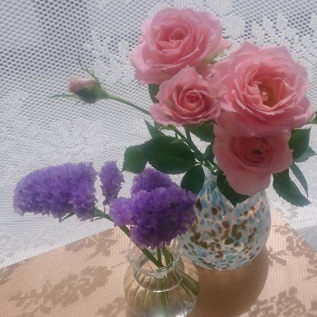 @misoflavor on Instagram: “#スターチス 💠 #ミニバラ 🌹右の花瓶は #吹きガラス体験 #ガラス工房zo#rose#statise#一輪挿しバラがすごくいい匂い” (82064)
