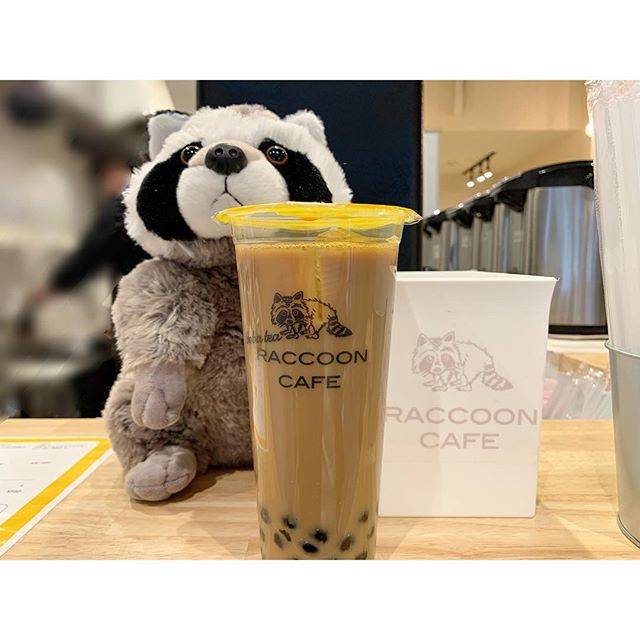 Yasu on Instagram: “*RACCOON CAFEタピオカ ミルクティ.#RacoonCafe#TapiokaMilkTea#bobatea#タピオカ専門店#池袋.🗓 6 Apr. 2019” (83230)