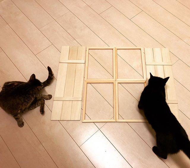 Kaori Otsubo on Instagram: “製作中のものを床に置いてみたら集まる猫たち 笑面白くないとわかったらあっという間に散っていきました(´･ω･`) #100均手作り #100均インテリア#猫” (88806)