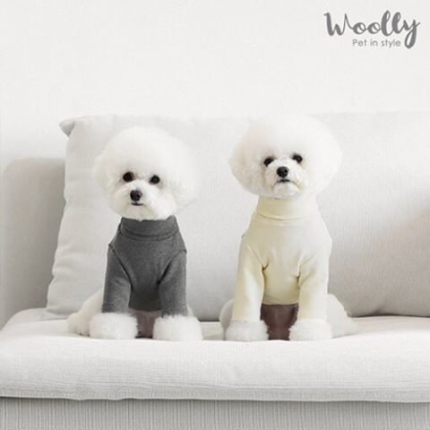 Roomnhome on Instagram: “WOOLY_タートルネックＴシャツ_S~XL_綿95％_愛犬洋服_turtleneck . . . ▣▣▣▣▣▣▣▣▣▣▣▣▣▣▣▣▣▣▣▣▣▣▣▣▣▣▣▣さらに、2500円以上購入の方へ100円割引 クーポンコード： ROOM0126…” (96643)