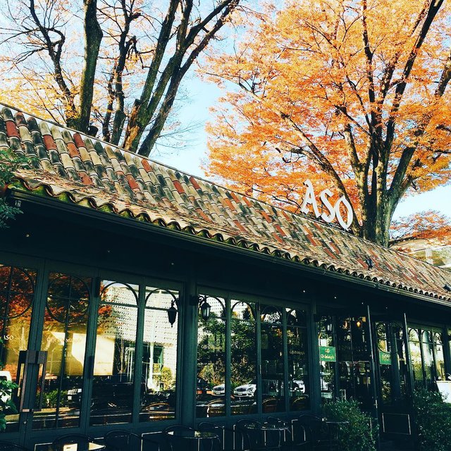 カフェ ミケランジェロ〈公式〉 on Instagram: “秋の代官山も素敵です。 #紅葉 #代官山さんぽ  #カフェミケランジェロ #caffemichelangelo : #カフェ #代官山 #代官山カフェ #ミケランジェロ #東京カフェ #落ち着く空間 #カフェタイム #カフェ巡り #イタリアンカフェ #代官山ランチ  #café…” (97824)