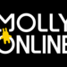 TOPページ | MOLLY. ONLINE
