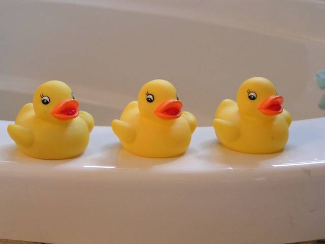 Free photo: Rubber Duckies, Yellow, Ducky - Free Image on Pixabay - 14614 (46274)