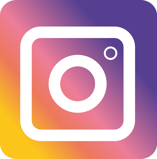 Instagram Insta Logo New · Free vector graphic on Pixabay (69305)