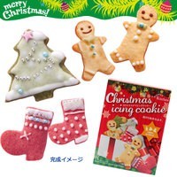ママズキッチン　クリスマスアイシングクッキーキット　232.6g (4522)